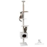 copy of Kassi ronimispuu Gentle Giant