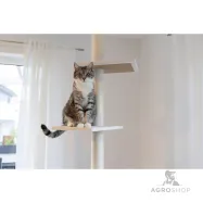 copy of Kassi ronimispuu Gentle Giant