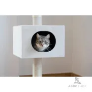 copy of Kassi ronimispuu Gentle Giant