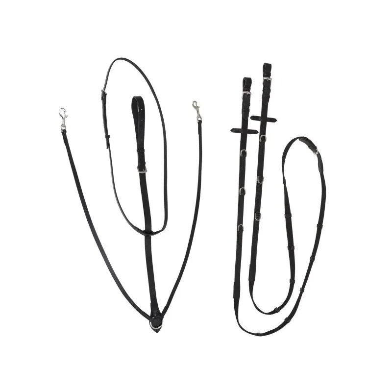 Thiedemann reins Kerbl