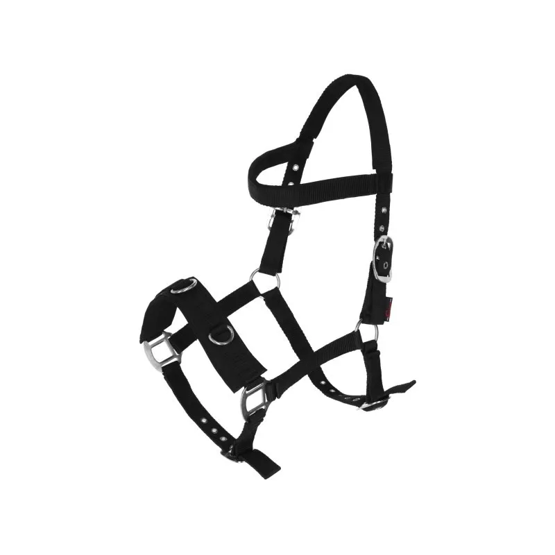 Lunging halter Kerbl