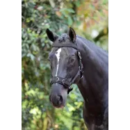 Lunging halter Kerbl