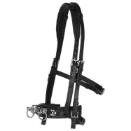 Cavesson Leather Exklusiv Covalliero