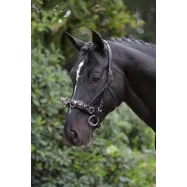 Cavesson Leather Exklusiv Covalliero