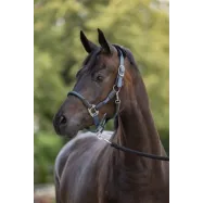 Halter Cordano Covalliero