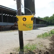 Fly Trap 12l FlyBuckets