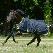 Oasis Turnout 100g 900D Bucas