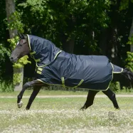 Oasis Turnout 100g 900D Bucas