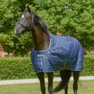 Stable rug Quilt 50g SF Bucas