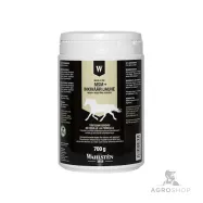 Supplement W-MSM + ginger 700g
