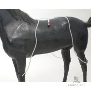 Water tubes Wahlstén