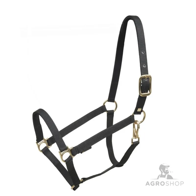 Halter Profit Wahlstén