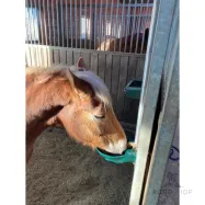 Heated plastic drinker Lister SB 22H RBH with cable 2m 230/66W