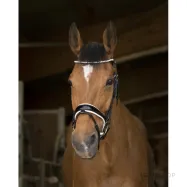 Bridle Bella Norton Pro