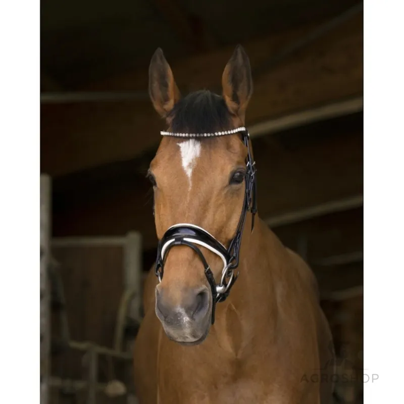 Bridle Bella Norton Pro
