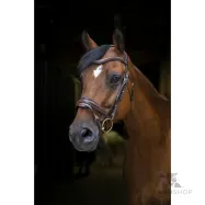 Bridle Design Eric Thomas Pro