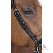 Bridle Strass Norton Pro