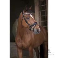 Bridle Strass Norton Pro