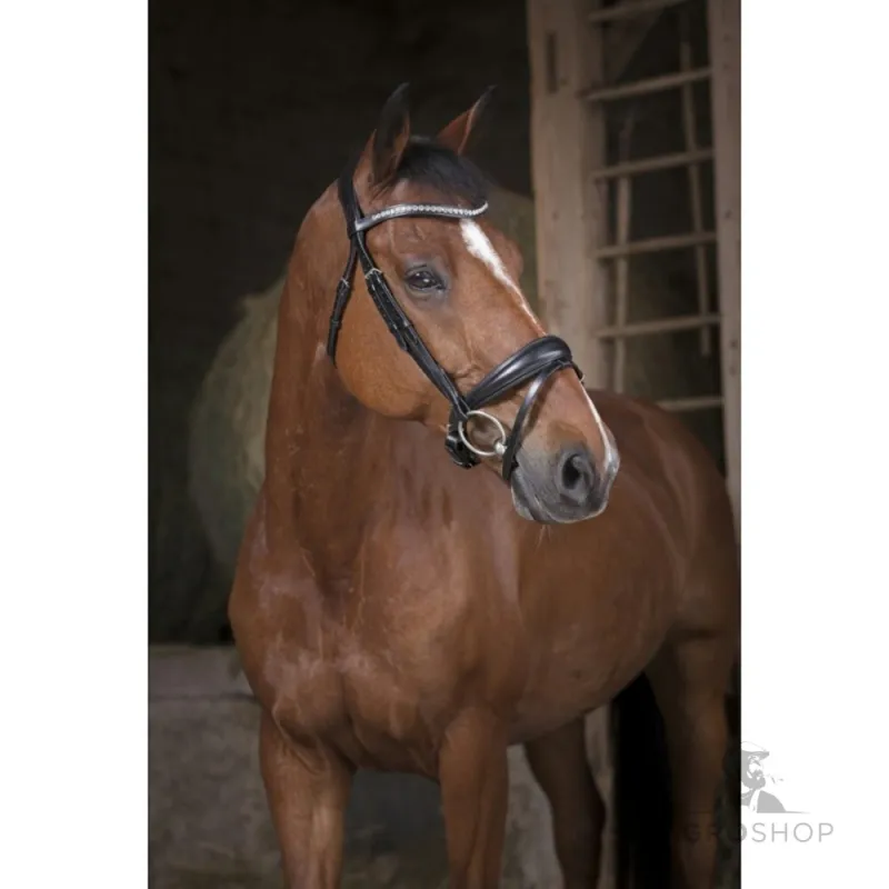Bridle Strass Norton Pro