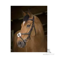 Bridle Crossed Norton Pro
