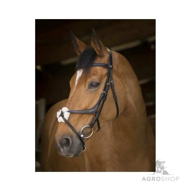 Bridle Crossed Norton Pro