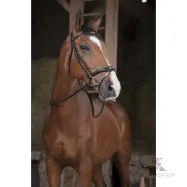 Reins Grip Norton Pro