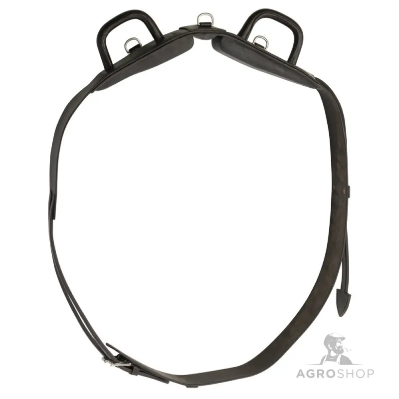 Vaulting roller Norton Club