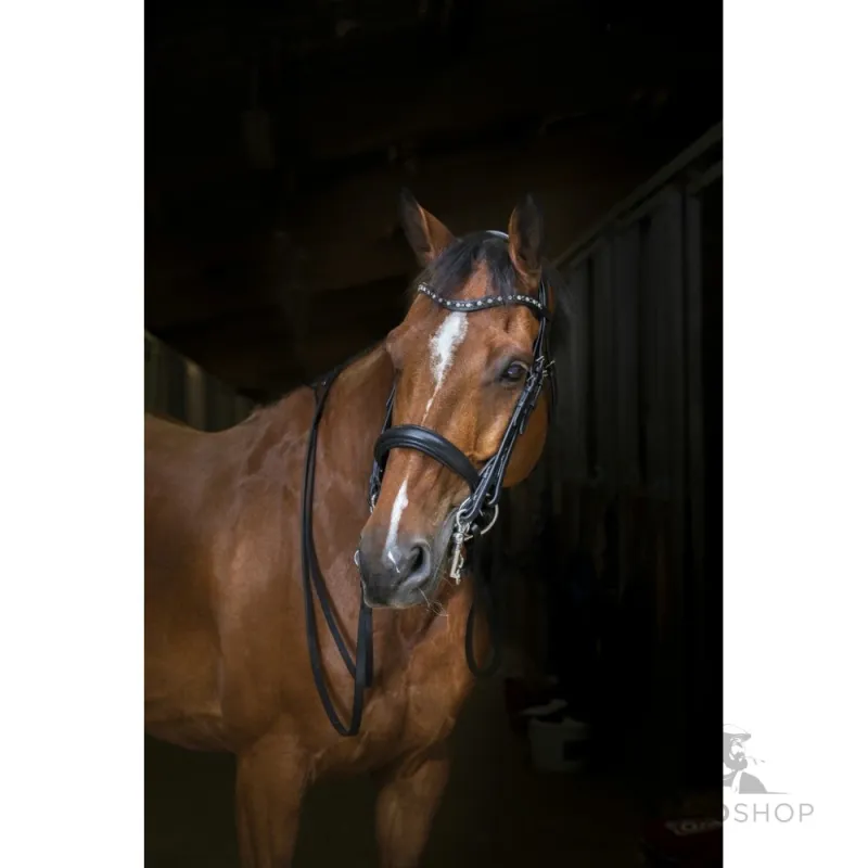 Weymouth bridle Eric Thomas Hybrid