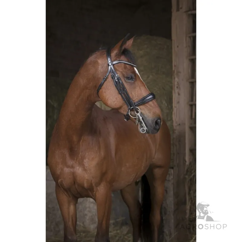 Double bridle Norton Pro