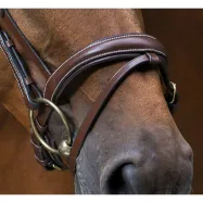 Bridle Wave Eric Thomas Pro