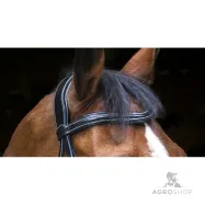 Bridle Wave Eric Thomas Pro