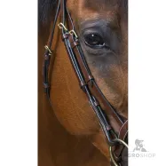 Bridle Wave Eric Thomas Pro