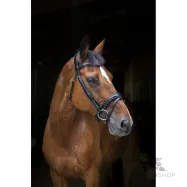 Bridle Wave Eric Thomas Pro