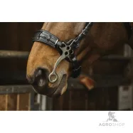 Hackamore bridle Norton Pro