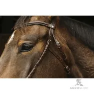 Hackamore bridle Norton Pro