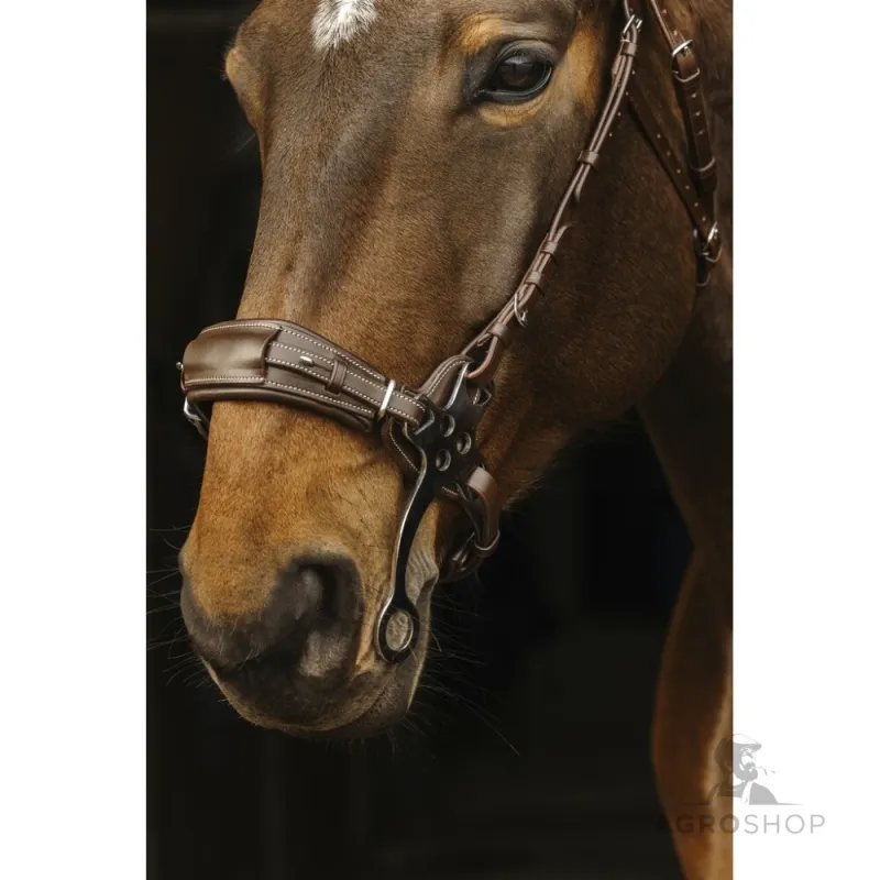 Hackamore bridle Norton Pro