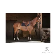 Shaped girth Hybrid Eric Thomas