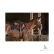 Shaped girth Hybrid Eric Thomas