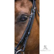 Bridle Design Eric Thomas Pro