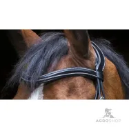 Bridle Design Eric Thomas Pro