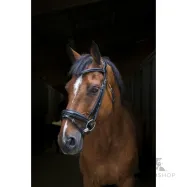 Bridle Design Eric Thomas Pro