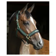 Halter Werano Back On Track®