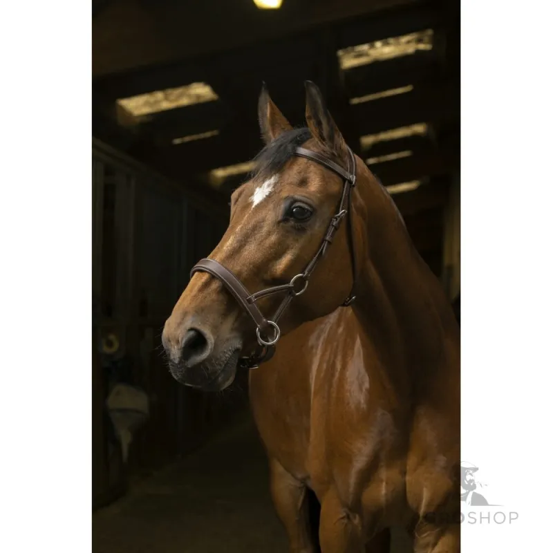 Side-Pull bridle Confort Norton Pro