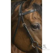 Side-Pull bridle Confort Norton Pro
