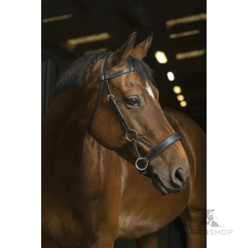 Side-Pull bridle Confort Norton Pro