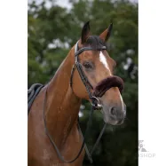 Noseband sleeve Teddy Equithéme