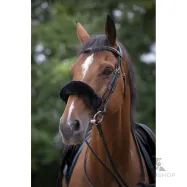 Noseband sleeve Teddy Equithéme