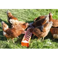 Kodulindude automaatjootja 1/2" 0,5bar