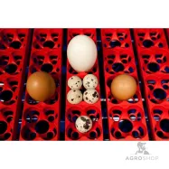 copy of Inkubaator kuni 24 munale