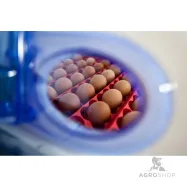 copy of Inkubaator kuni 24 munale